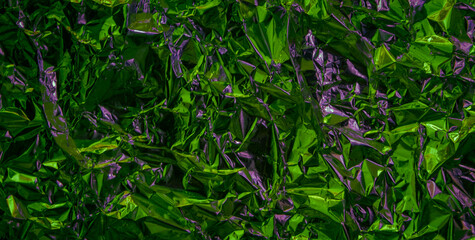 The Artistic Harmony of Color, Pattern, and Texture in Design