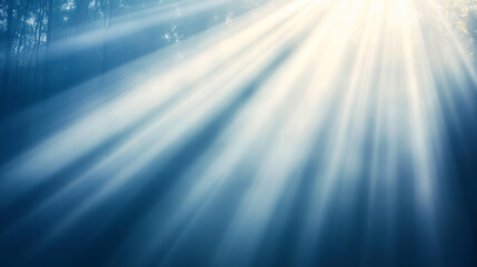 Sun rays filtering through a misty forest, illuminating trees and creating a serene, magical atmosphere filled with ethereal beauty