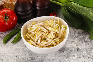 Soya bean sprouts in the bowl