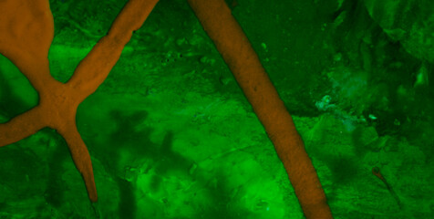 A Dynamic Backdrop with Texture, Pattern, and Color