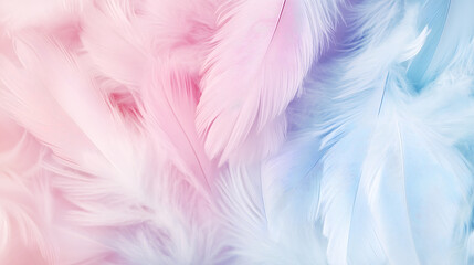 Obraz premium Soft pastel feathers in pink and blue create dreamy, delicate background.
