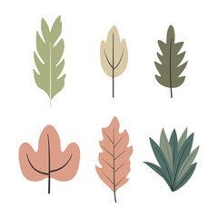 Element Set of Autumn Leaf Leaves Foliage Plant Decoration in the Park