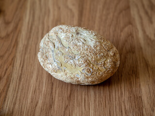 Limestone with fossil imprints. Seashells fossil imprint on stone. Biosparite in the museum of paleontology