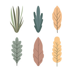 Element Set of Autumn Leaf Leaves Foliage Plant Decoration in the Park