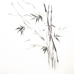 Obraz premium A beautiful green bush tree isolated on a white background