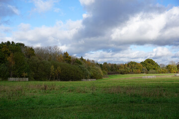 green parkland with woodland trees. peaceful landscape and place to walk 