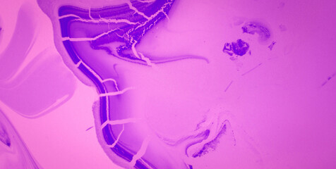 Colorful Textures and Patterns with a Touch of Gold Paint