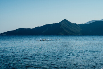 sea and mountains
