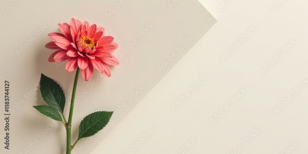 Poster A Delicate Pink Flower on a Soft Background with Ample Copy Space