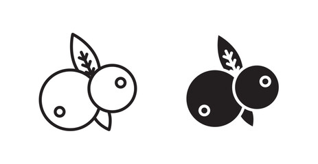 Blueberry icon set vector graphics designs