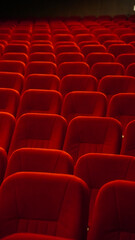 rows of seats in theatre or cinema