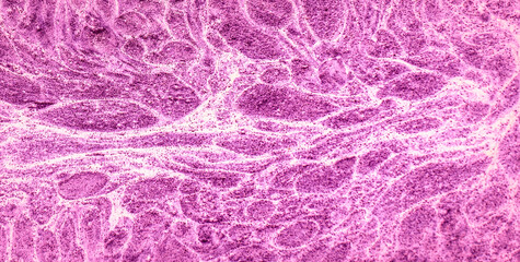 A Golden and Colorful Illustration with Rich Textures and Patterns