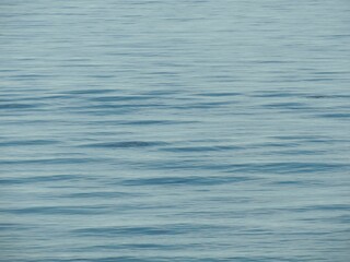 Rippling water with a soft, serene surface reflecting the light.