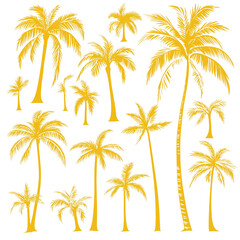 Vector set of yellow palm tree silhouettes on a transparent background png