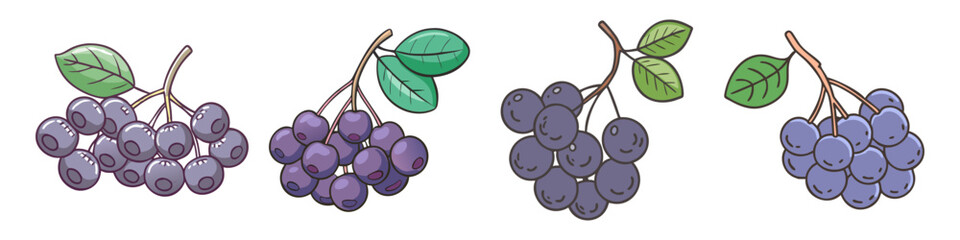 chokeberry vector icon, fruit vector illustration - simple illustration of chokeberry perfect for logos, and fruit-themed designs.