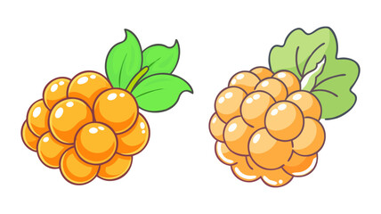 cloudberry vector icon, fruit vector illustration - simple illustration of cloudberry perfect for logos, and fruit-themed designs.