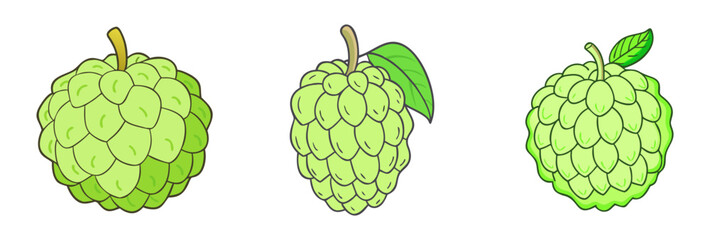 custard apple vector icon, fruit vector illustration - simple illustration of custard apple perfect for logos, and fruit-themed designs.