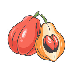 ackee vector icon, fruit vector illustration - simple illustration of ackee perfect for logos, and fruit-themed designs.
