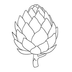 Artichoke Vegetable Line Art. Vector illustration 