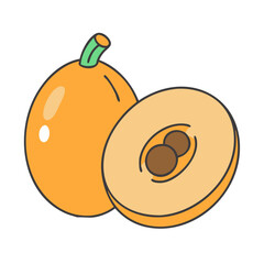 loquat vector icon, fruit vector illustration - simple illustration of loquat perfect for logos, and fruit-themed designs.