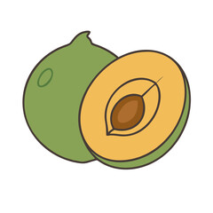 lucuma vector icon, fruit vector illustration - simple illustration of lucuma perfect for logos, and fruit-themed designs.