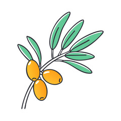 sea buckthorn vector icon, fruit vector illustration - simple illustration of sea buckthorn perfect for logos, and fruit-themed designs.