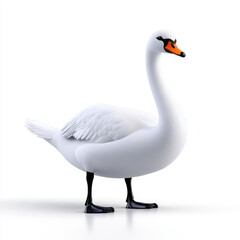 Obraz premium Majestic White Swan: Graceful Pose Against a Pure White Background