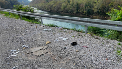 Scenic riverbank marred by litter highlights environmental pollution issues, emphasizing the need for global cleanup initiatives and awareness