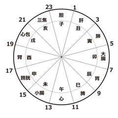 Fototapeta premium 子午流注図（白黒）
