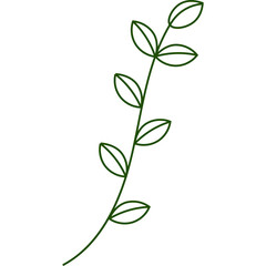 Hand Drawn Aesthetic Leaves