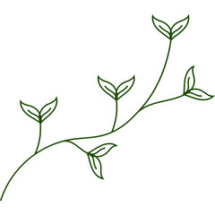 Hand Drawn Aesthetic Leaves