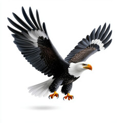 Fototapeta premium Eagle in Flight: Majestic Wings, Powerful Soar