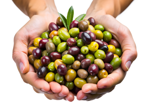 This sentence incorporates elements from the provided phrases and word list while keeping it concise and descriptive