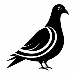 illustration of dove