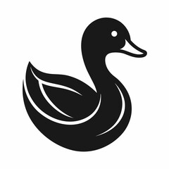 duck isolated on white background