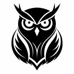 owl on white background