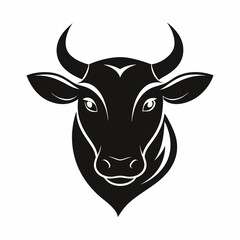 black and white cow