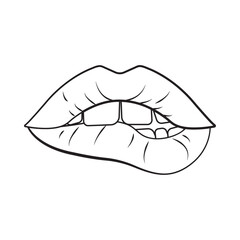 Woman beautiful lips,  bite bottom lip in black and white in outline style, female sexy lips, isolated on white background for icons, logo, kiss, stickers