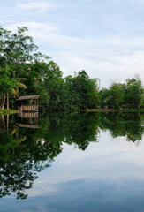 Fototapeta premium Beautiful landscape view of Alam Mayang Park in the afternoon, Pekanbaru, Indonesia.