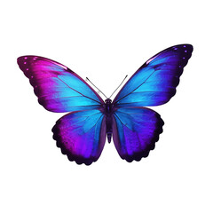 Obraz premium Vibrant butterfly with gradient purple and blue wings isolated on white background, file png. 