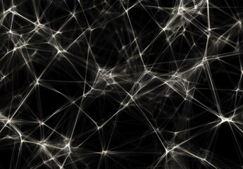 A black and white image of a web of lines and dots