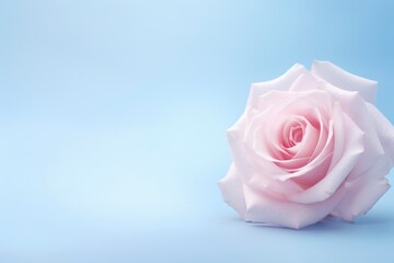 Blue background wallpaper with floral pattern