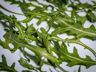 A close-up of fresh arugula leaves scattered on a white background, highlighting their bright green color, delicate texture, and natural shapes.