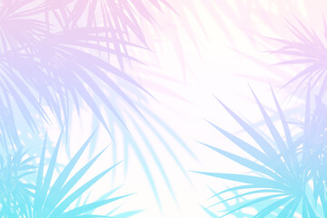 トロピカルなグラデーションのヤシの葉の背景