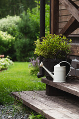 white watering can on wooden porch of rustic brown country house or cottage