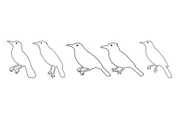 Outline Oriole Bird Illustration Design Set