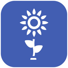 Sunflower vector icon illustration of Festa Junina iconset.