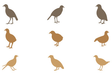 Simple Quail Bird Illustration Design Set
