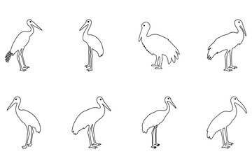 Outline Stork Bird Illustration Design Set