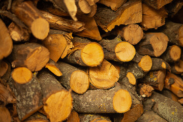 Stacked firewood and timber as a background.